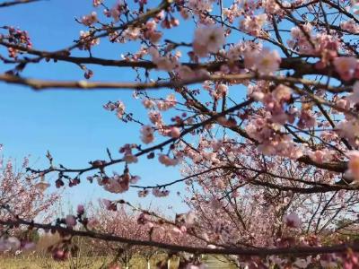 冷空气来了！降温+降雨！接下来孝昌的天气...