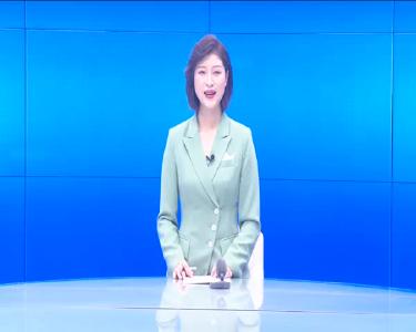 --香气四溢  邹岗镇800亩梅花迎来满园游客