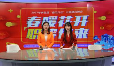 28万+在线观看，2500+岗位任你选，一场人才盛宴在孝昌“云”上