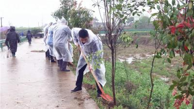 县委办公室开展支部主题党日暨“我为群众办实事”义务植树活动