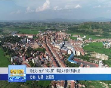 胡忠文：做好“领头雁”　激发乡村振兴澎湃动能