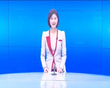 --孝昌：春耕备耕忙  农机销售旺