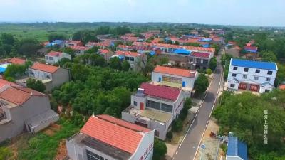 新岗村：三个“+”模式促乡村振兴