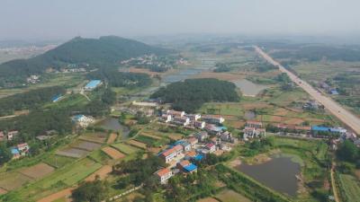 胡忠文：做好“领头雁”　激发乡村振兴澎湃动能