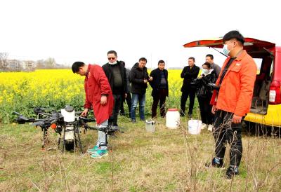 孝昌县花园镇用无人机喷洒农药 实施小麦和油菜病虫害防治