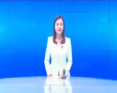 --春茶采摘正当时  国家级农业专家来支招