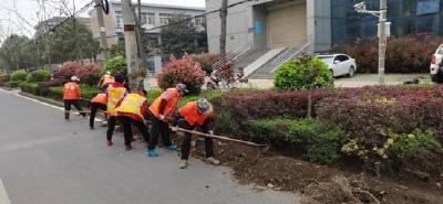 孝昌园林：开展城区绿化带垃圾清理专项整治活动