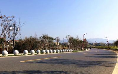 阳春三月 丰山镇诗意乡村“靓了”