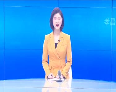 --创业路上“鸽”声嘹亮