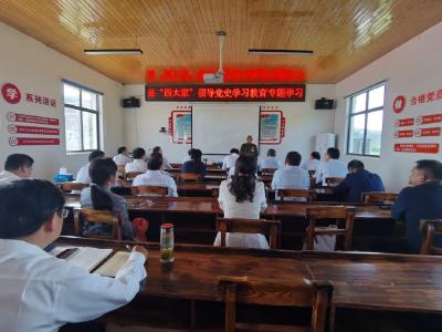 参观革命旧址，聆听老兵故事！孝昌这堂党史学习教育课充电又鼓劲！