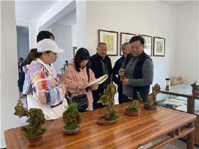 孝昌丨孝昌举办第二回“湖山雅集”书画盆景小品展