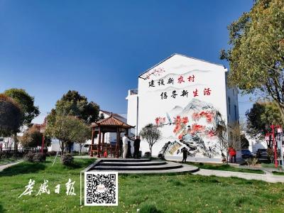 开启乡村“美颜”模式——邹岗镇多措并举推进“和美乡村”建设