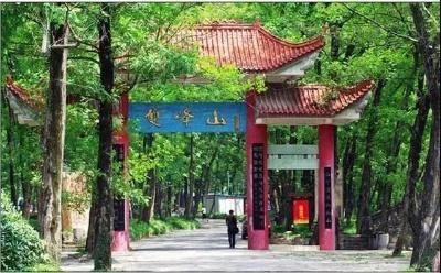 五一去哪玩？孝昌周边这些景区优惠活动出炉！