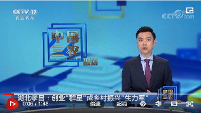 央视聚焦孝昌乡村振兴：遍地“能人”下农村！
