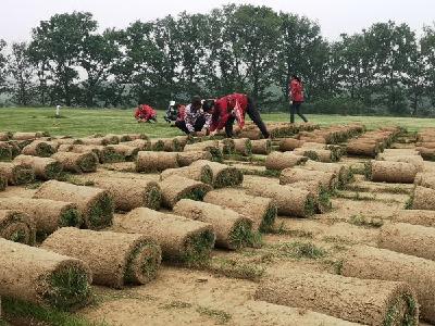 孝昌小河镇：全域治理迸发生态活力