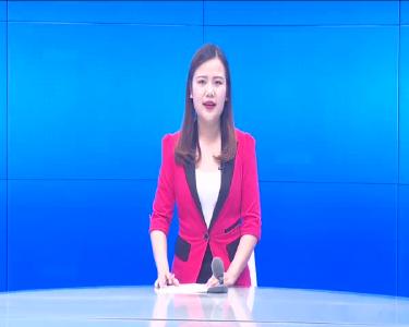 --春日采茶忙   亲子“趣”采茶