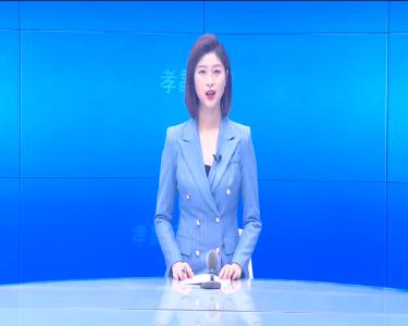 --吴琼调研督导城市社区基层治理工作.mpeg