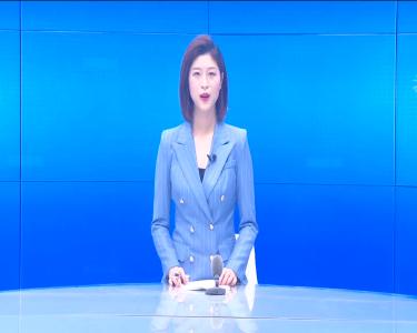 --治安巡防保平安 花园镇举行巡逻防控启动仪式.mpeg