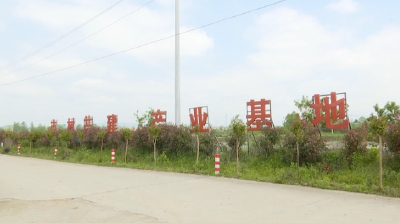 陈兴民：步履匆匆的扶贫队长