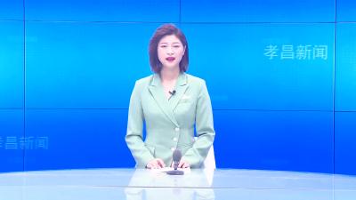 --武斌洲调研我县重点工作.mp4