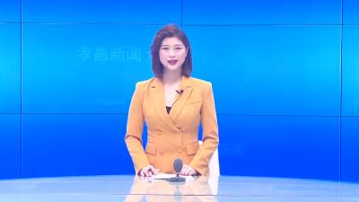 --华中科技大学土木与水利工程学院“大手拉小手”公益团队走进王店镇