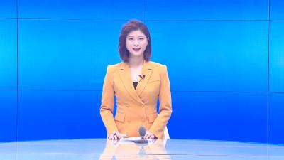 --我县召开国土空间规划编制阶段成果暨全域国土综合整治、矿山生态修复治理汇报会