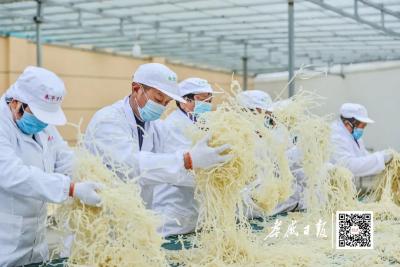众人拾柴火焰高