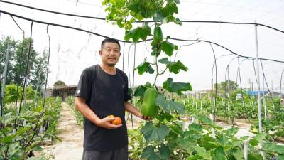 秦智：种老百姓爱吃的放心菜