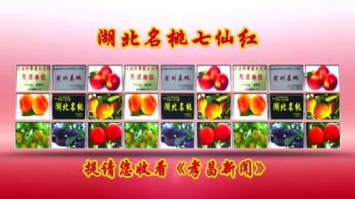 2021年7月12日《孝昌新闻》