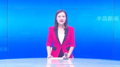 --全县经济形势分析会暨孝汉同城化发展工作推进会召开