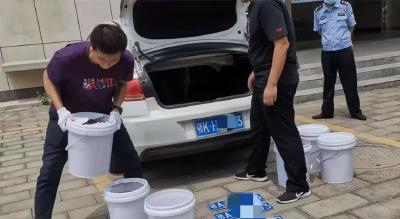 孝昌交警查获一辆套牌车！