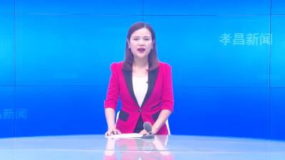 --专家为孝昌发展若干关键问题支招