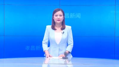 --白沙镇五四村：基层一线党旗红 致富路上沐春风