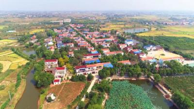 孝昌新岗村：全国示范村省模范村，到底有什么不一样？