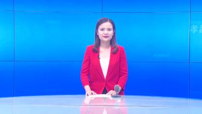 --李惠芬调研澴西工业园建设情况