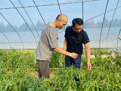 彭利华：产业兴农强村富民  绿色发展振兴乡村