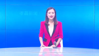 --湖北金冠食品有限公司：营商环境优 发展劲头足