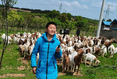 喜迎党代会丨唐根根：乡村振兴“领头羊”　农民致富带头人