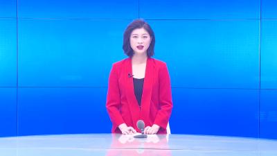 --蔡传杰参加陡山乡代表团分组讨论
