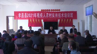 --退伍军人返乡担任村书记 带领乡亲抱团养牛