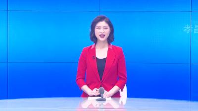 --县政协到澴西工业园开展项目建设视察调研活动