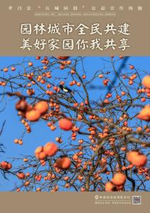 孝昌县“五城同创”公益宣传海报——第四期