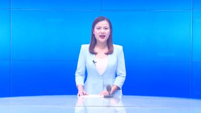 --唐根根：乡村振兴“领头羊” 农民致富带头人