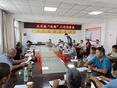 王店镇打造油菜景观示范线 深拓“农旅”融合路