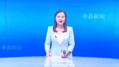 --江西京九集团来孝昌投资考察