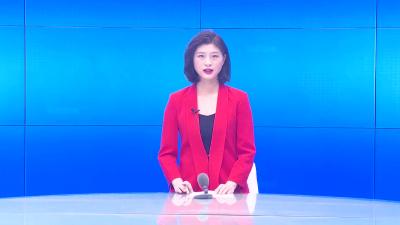 --李惠芬参加县直第二代表团分组讨论