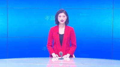 --李惠芬参加县直第三代表团分组讨论