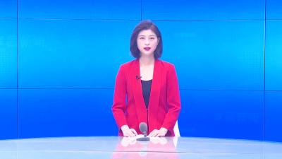 --洪鹏参加邹岗镇代表团分组讨论