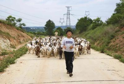 辉煌成就 | 孝昌拓宽乡村振兴“幸福路”，美好生活向前进！