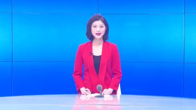 --王荣参加卫店镇代表团分组讨论